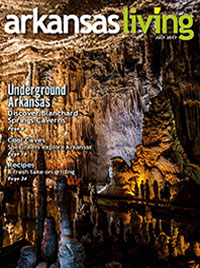 Arkansas Living Link to the current Arkansas Living magazine