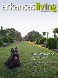 Arkansas Living Link to the current Arkansas Living magazine