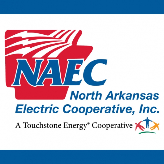 NAEC logo