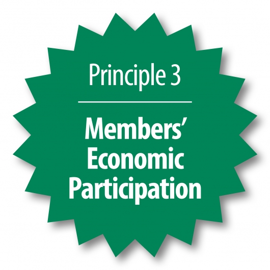 Capital credit certificates mailed to NAEC members