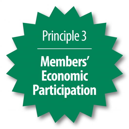 Members' economic participation 