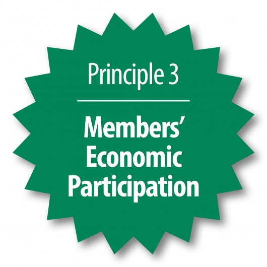 Members' economic participation 