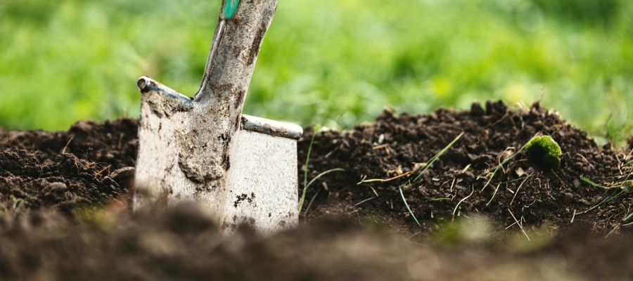 Shovel on dirt