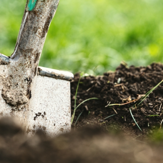 Shovel on dirt