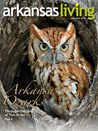 Arkansas Living Link to the current Arkansas Living magazine